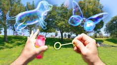 burbujas-imcreibles-cibercartel