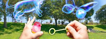 burbujas-imcreibles-cibercartel