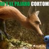 el-zorro-y-el-pajaro-cortometraje-gratis-descarga-pelicula-cibercartel-argentina-mexico-peru-colombia-chile-venesuela